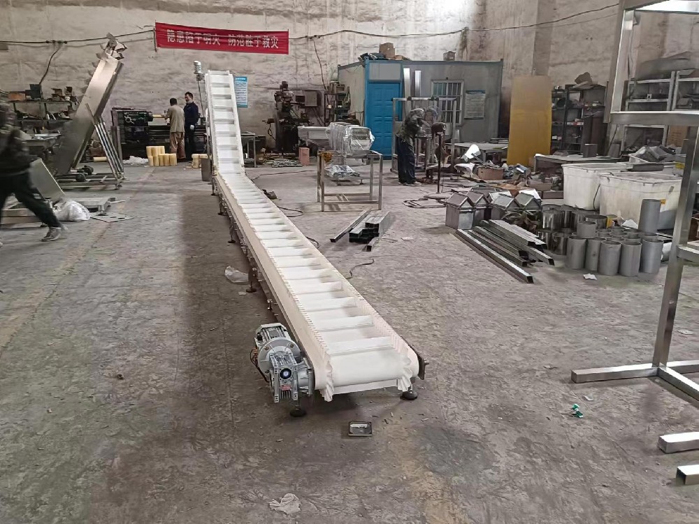 Z型裙邊皮帶輸送機(jī)